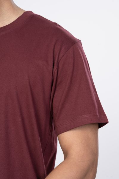 Shleviro Men's Polar Lab Maroon  Solid Round Neck T-shirt